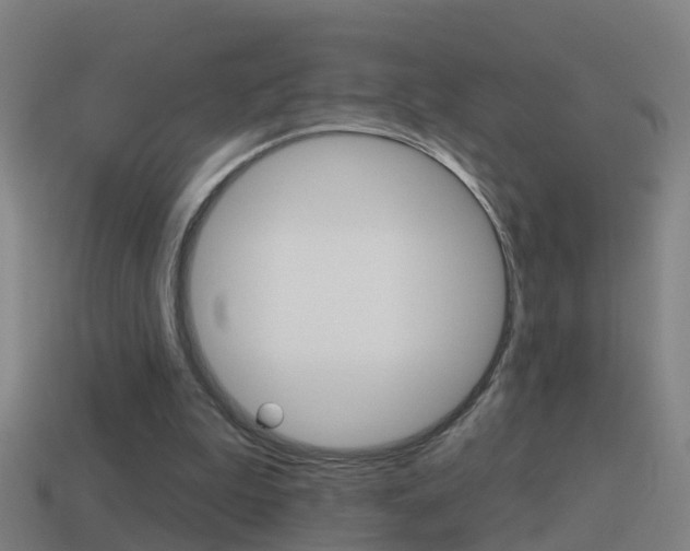 X0000114610199200910200947
