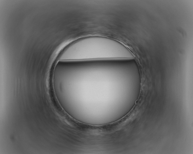 X0000114610200200910200947