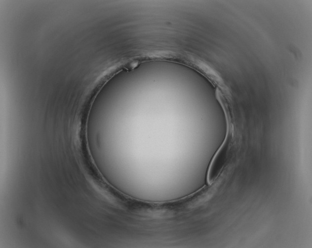 X0000114610201200910200947