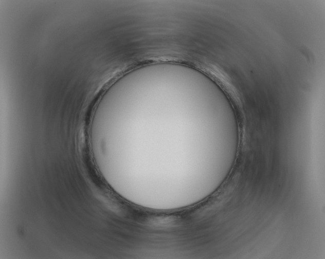 X0000114610202200910200947