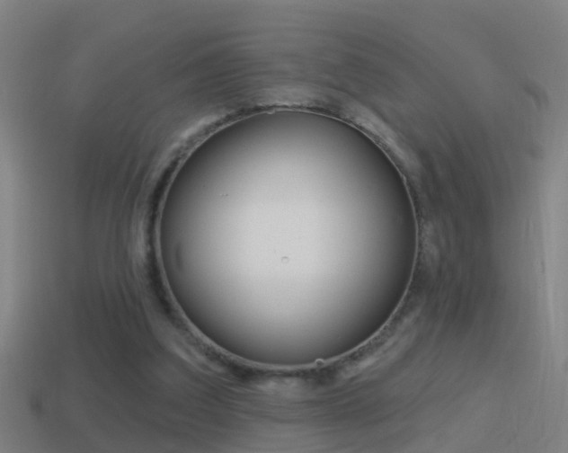 X0000114610203200910200947