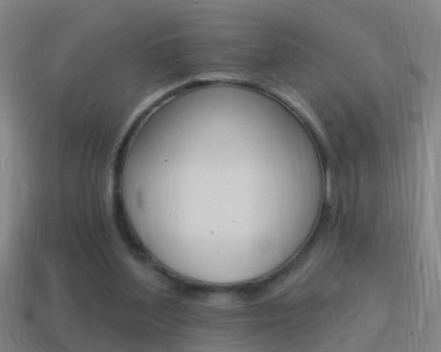 X0000114610204200910200947