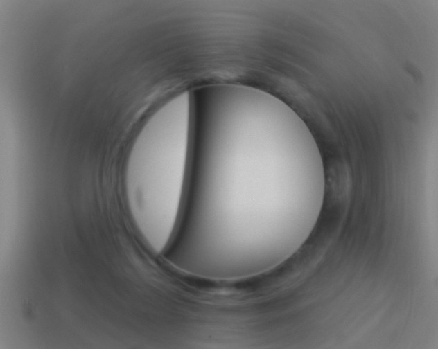 X0000114610212200910200947