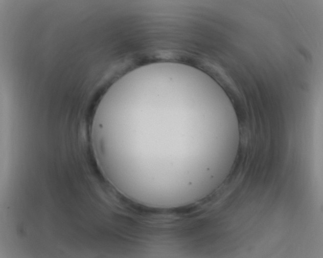 X0000114610213200910200947