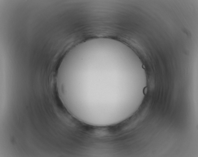 X0000114610214200910200947