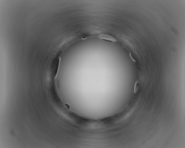 X0000114610215200910200947