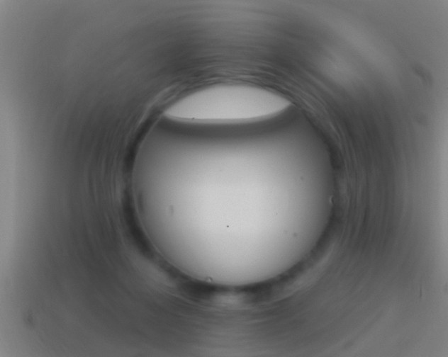 X0000114610216200910200947