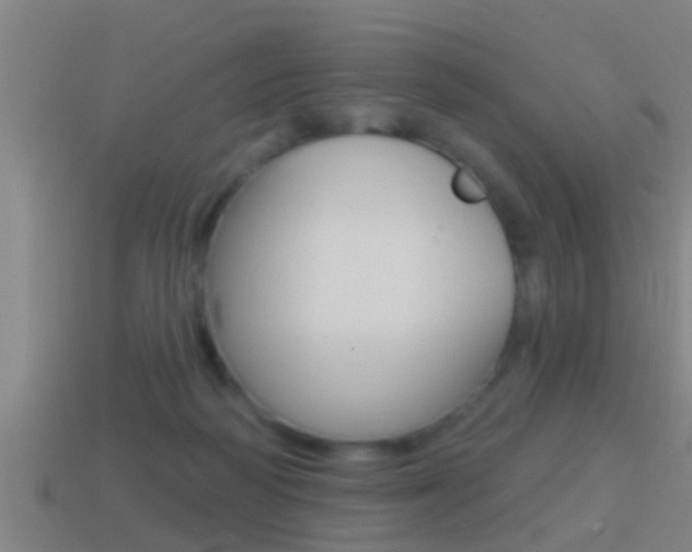 X0000114610218200910200947