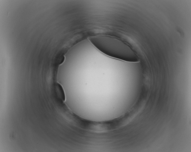 X0000114610221200910200947