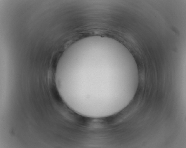 X0000114610222200910200947