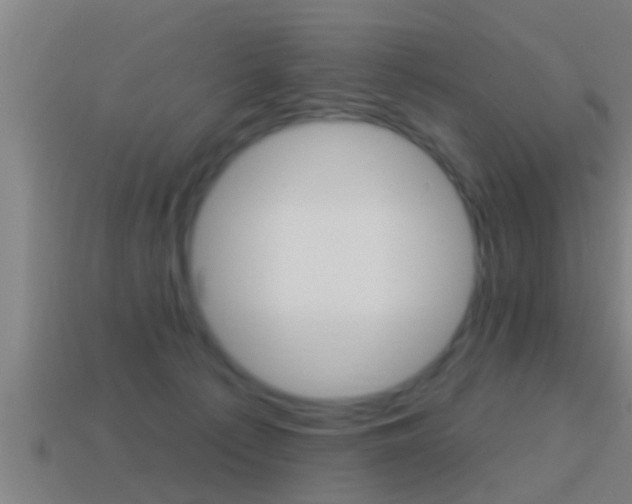 X0000114610225200910200947