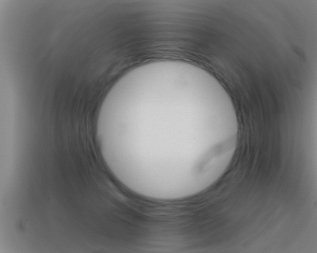 X0000114610227200910200947