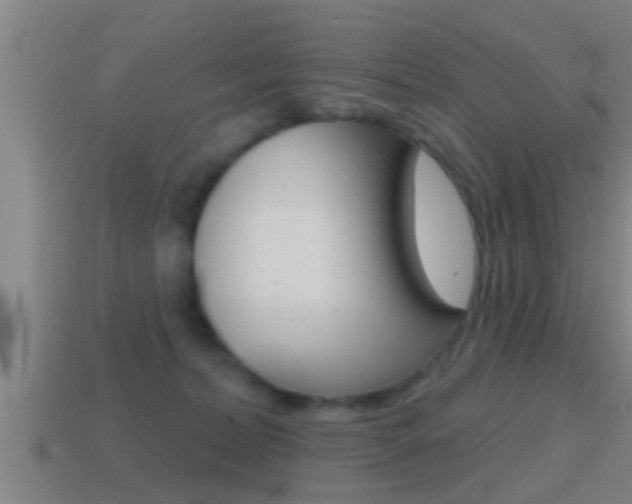 X0000114610228200910200947