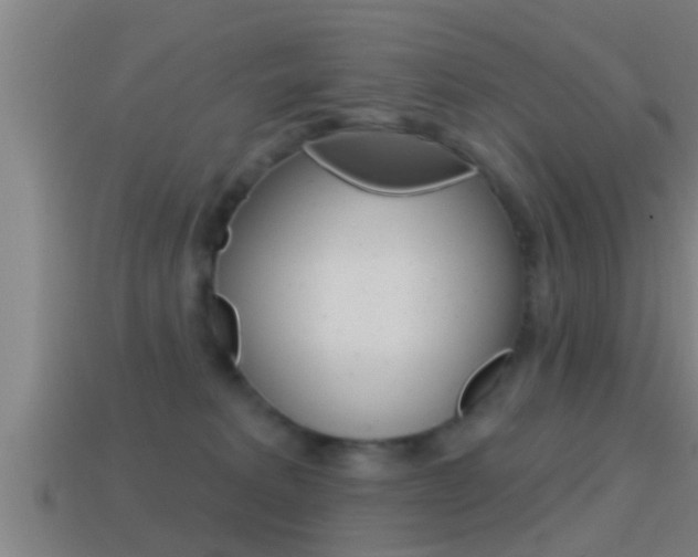 X0000114610229200910200947