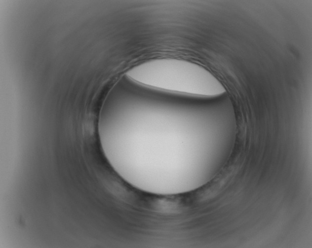 X0000114610232200910200947