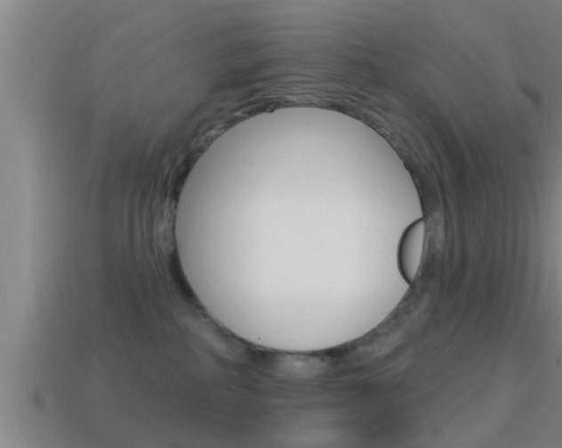 X0000114610234200910200947