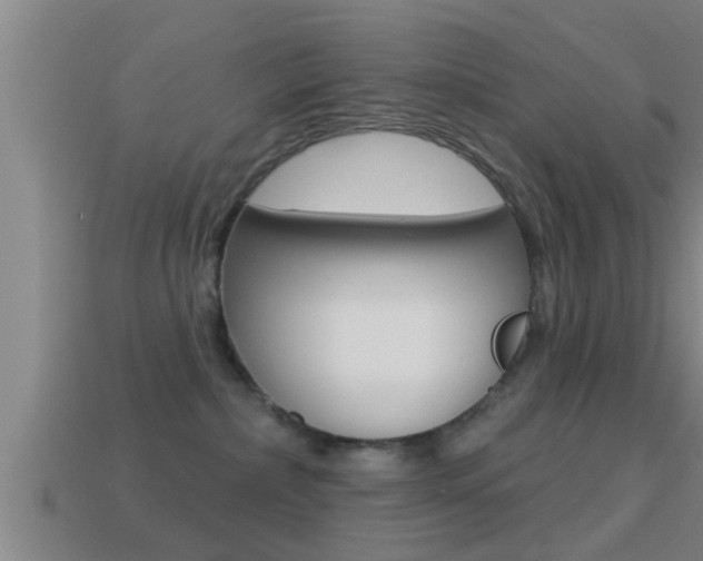 X0000114610236200910200947