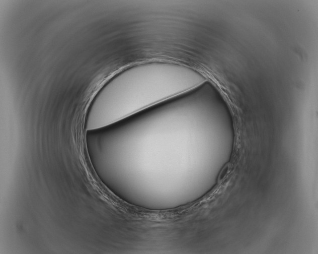 X0000114610241200910200946