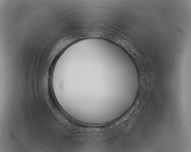 X0000114610242200910200946