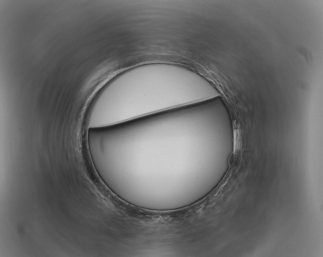 X0000114610243200910200946