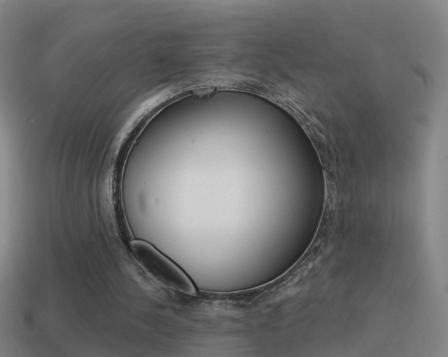 X0000114610244200910200946