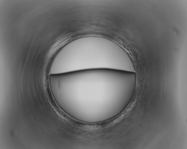 X0000114610245200910200946
