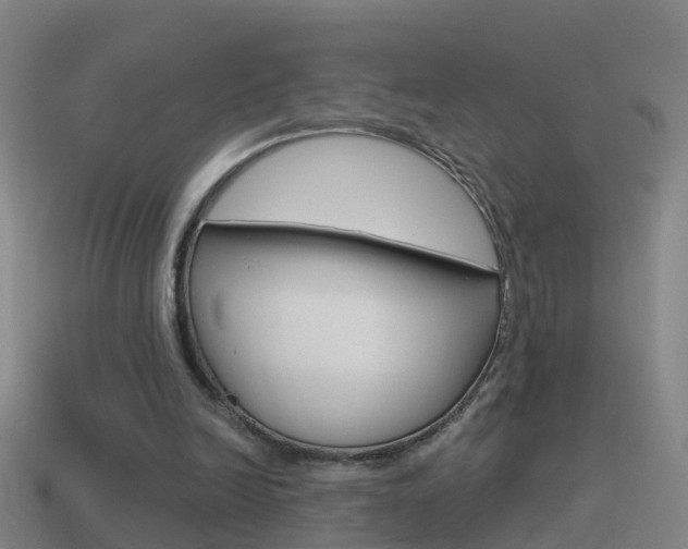 X0000114610246200910200946