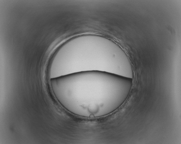 X0000114610247200910200946