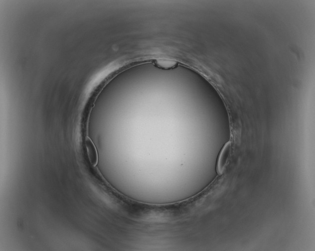 X0000114610248200910200946