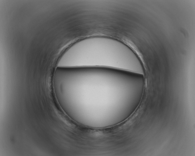 X0000114610249200910200946