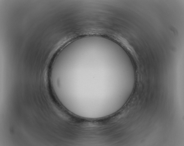 X0000114610250200910200946