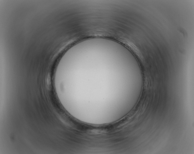 X0000114610251200910200946