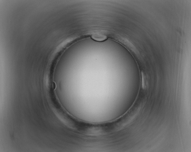 X0000114610252200910200946