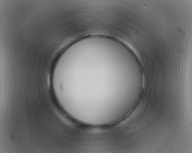 X0000114610253200910200946