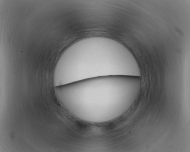 X0000114610255200910200946