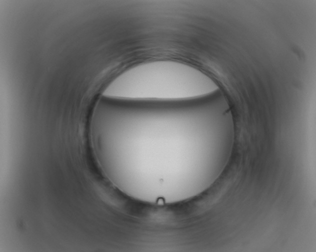 X0000114610258200910200946