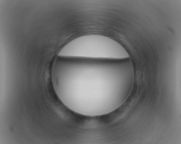 X0000114610259200910200946