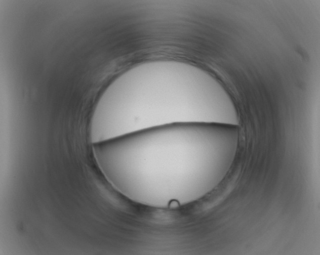 X0000114610261200910200946