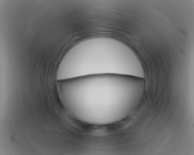 X0000114610263200910200946