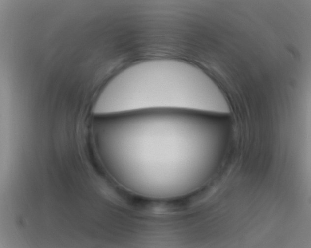 X0000114610264200910200946