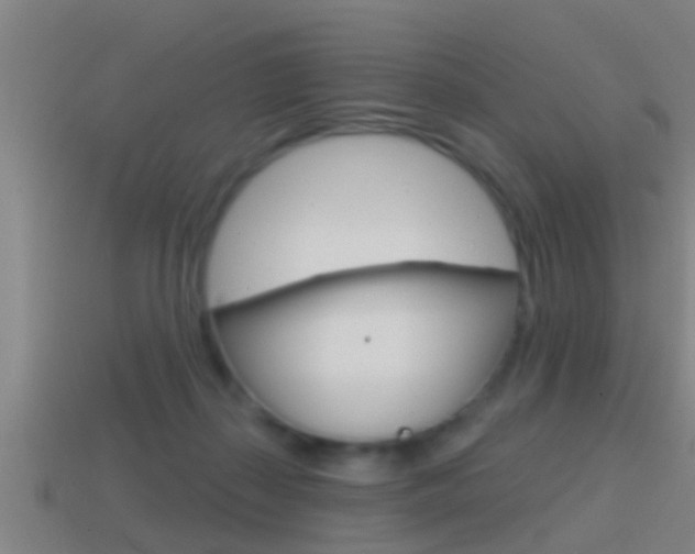 X0000114610267200910200947