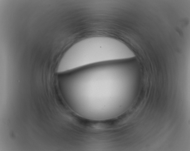 X0000114610268200910200947