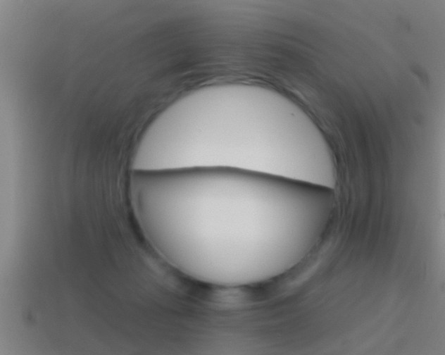 X0000114610269200910200947