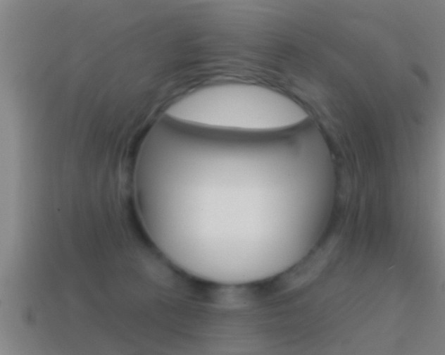 X0000114610273200910200947