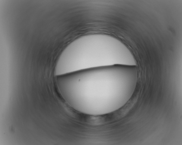 X0000114610277200910200947