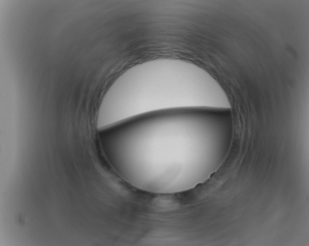 X0000114610280200910200947
