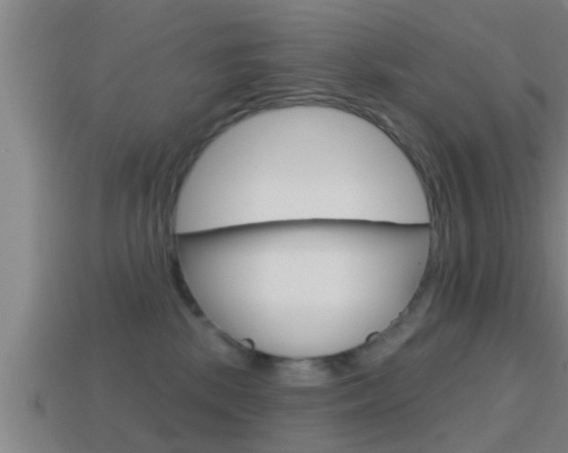 X0000114610281200910200947