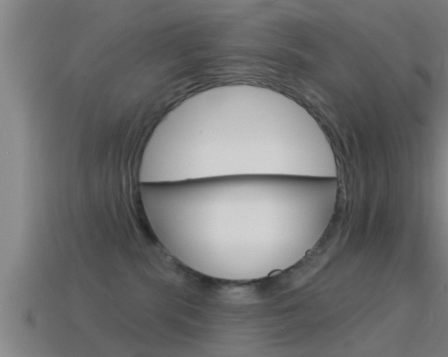 X0000114610283200910200947