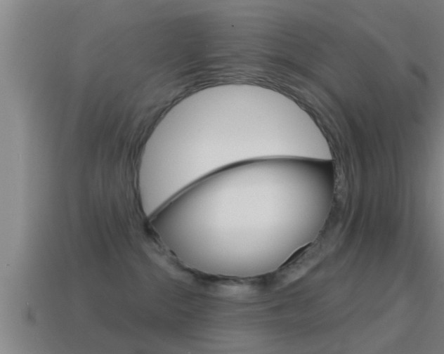 X0000114610284200910200947
