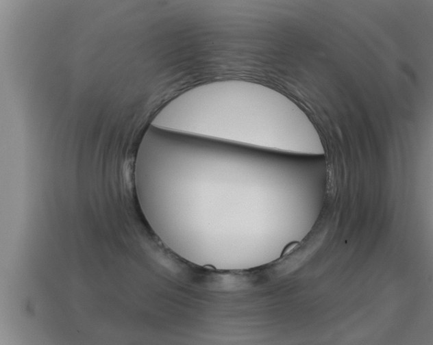X0000114610286200910200947